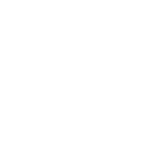 Website Development