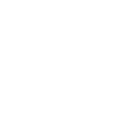 Software Development
